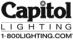 1-800-Lighting logo