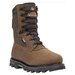 Rocky Men's 10" Arctic BearClaw 3D Field Boot offers